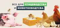 Клетка для кур несушек