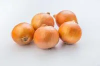 Лук Яровой ПХ 07713119 F1 (250 000 семян) Seminis