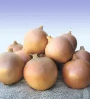 Лук Озимый СИБИРЬ (250 000 семян) Bejo