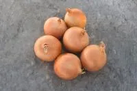 Лук Яровой СЕДОНА F1 (250 000 семян) прец. Bejo