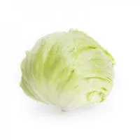 Салат айсберг АСМАРА (25 000 семян) драже Rijk Zwaan